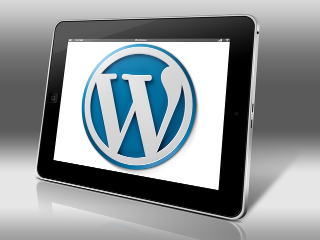 WordPress installieren – warum und wie?